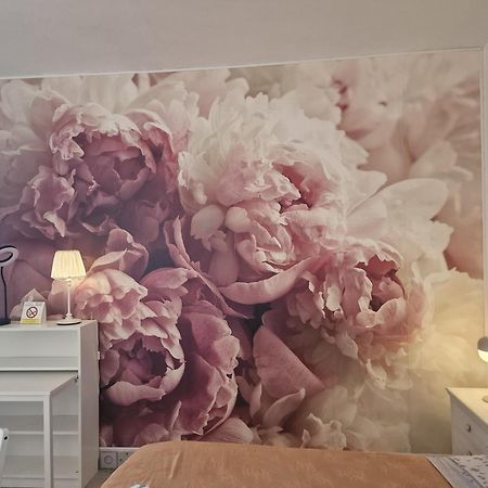 Casa Le Coccole Leilighet Livorno Eksteriør bilde